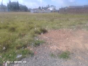 Fertile Soil - thumbnail 2