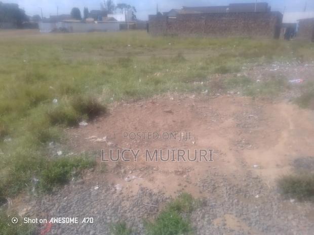 Fertile Soil - thumbnail 3