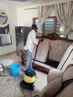 Sofas Cleaning