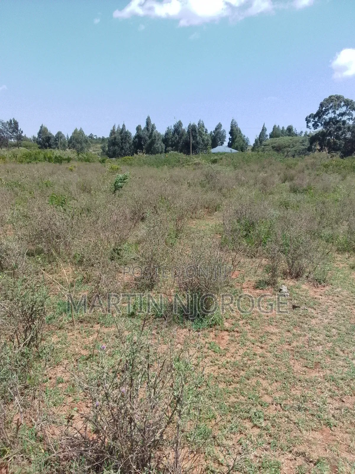 5 Acres Nasu