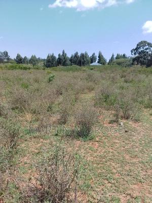 5 Acres Nasu - thumbnail 2