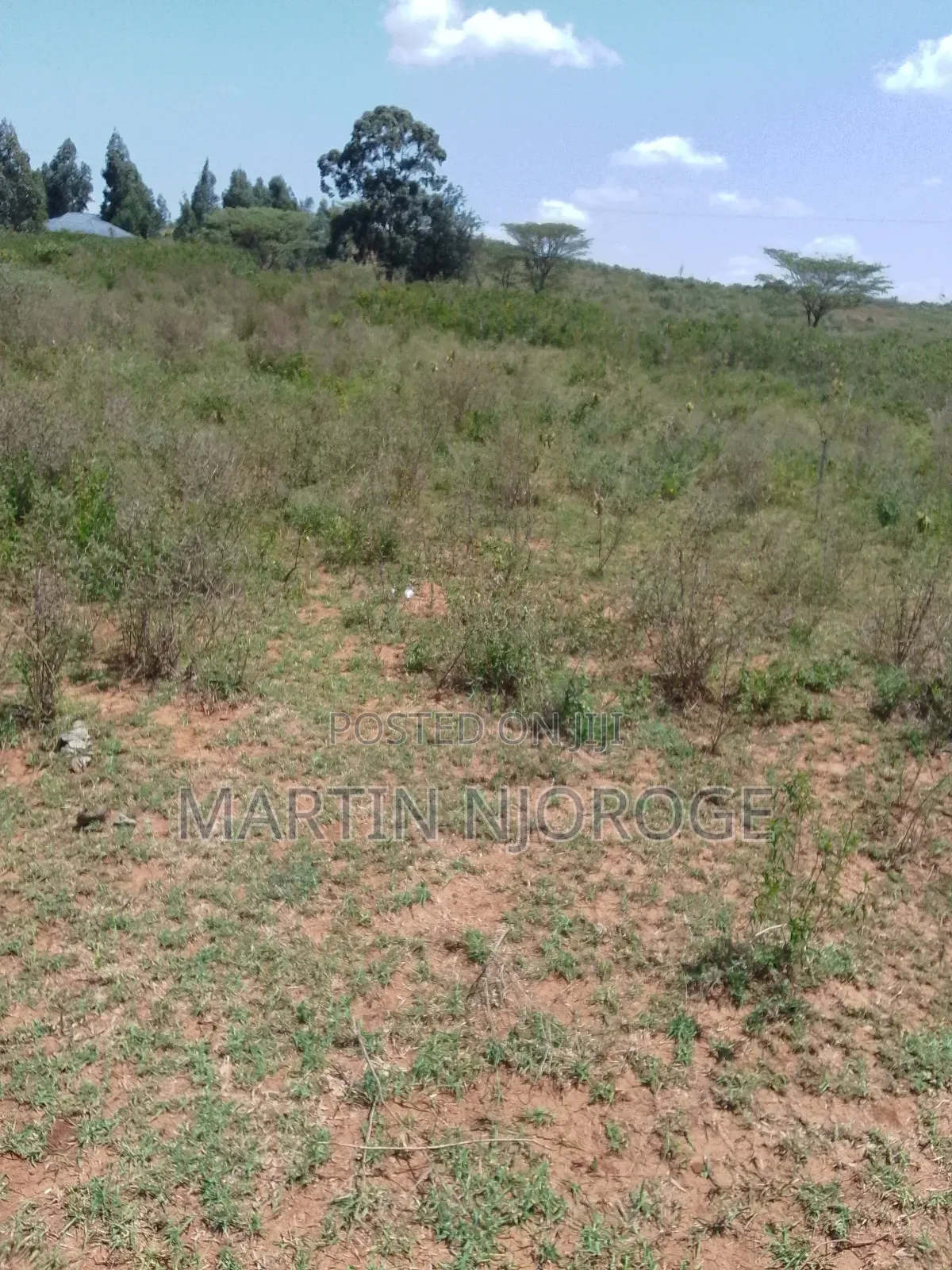5 Acres Nasu