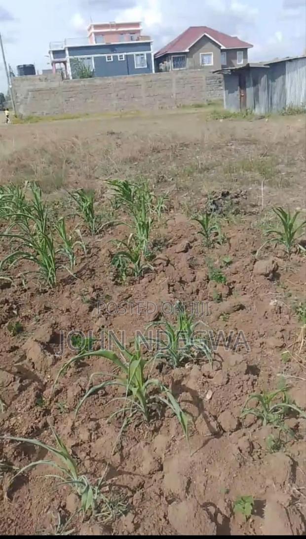 Ruiru Prime Plot - thumbnail 4