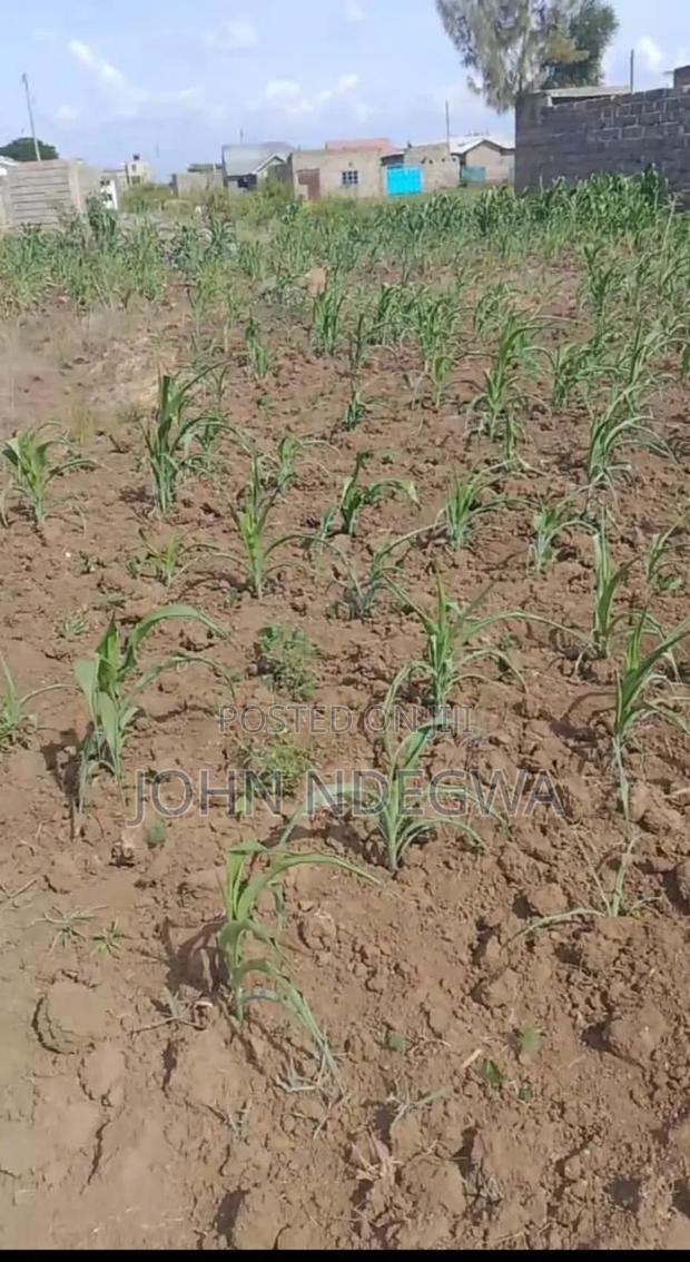 Ruiru Prime Plot - thumbnail 6