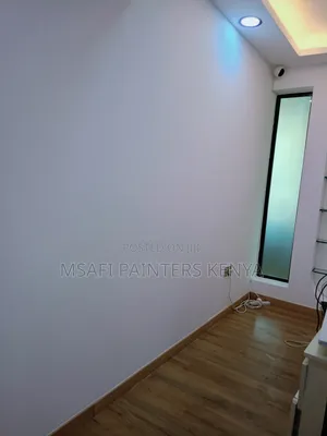 Painting Services in South B