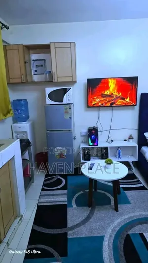 Studio Apartments TRM Roysambu Kasarani