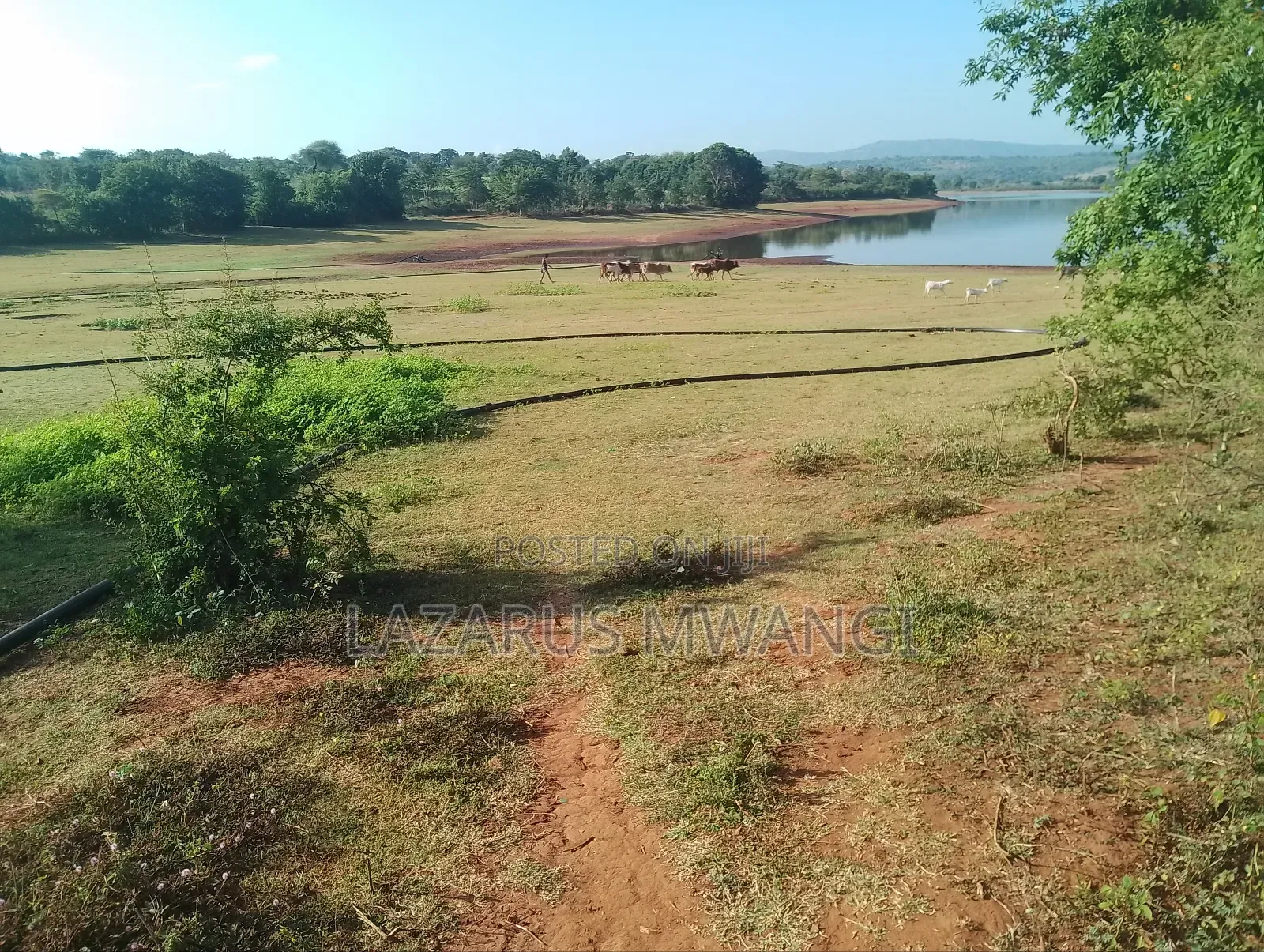 5 Acre-river Touching Land On Sale.