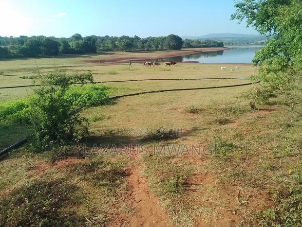 5 Acre-river Touching Land On Sale. - thumbnail 4