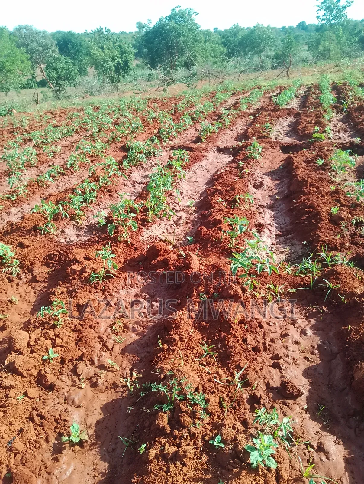 5 Acre-river Touching Land On Sale.