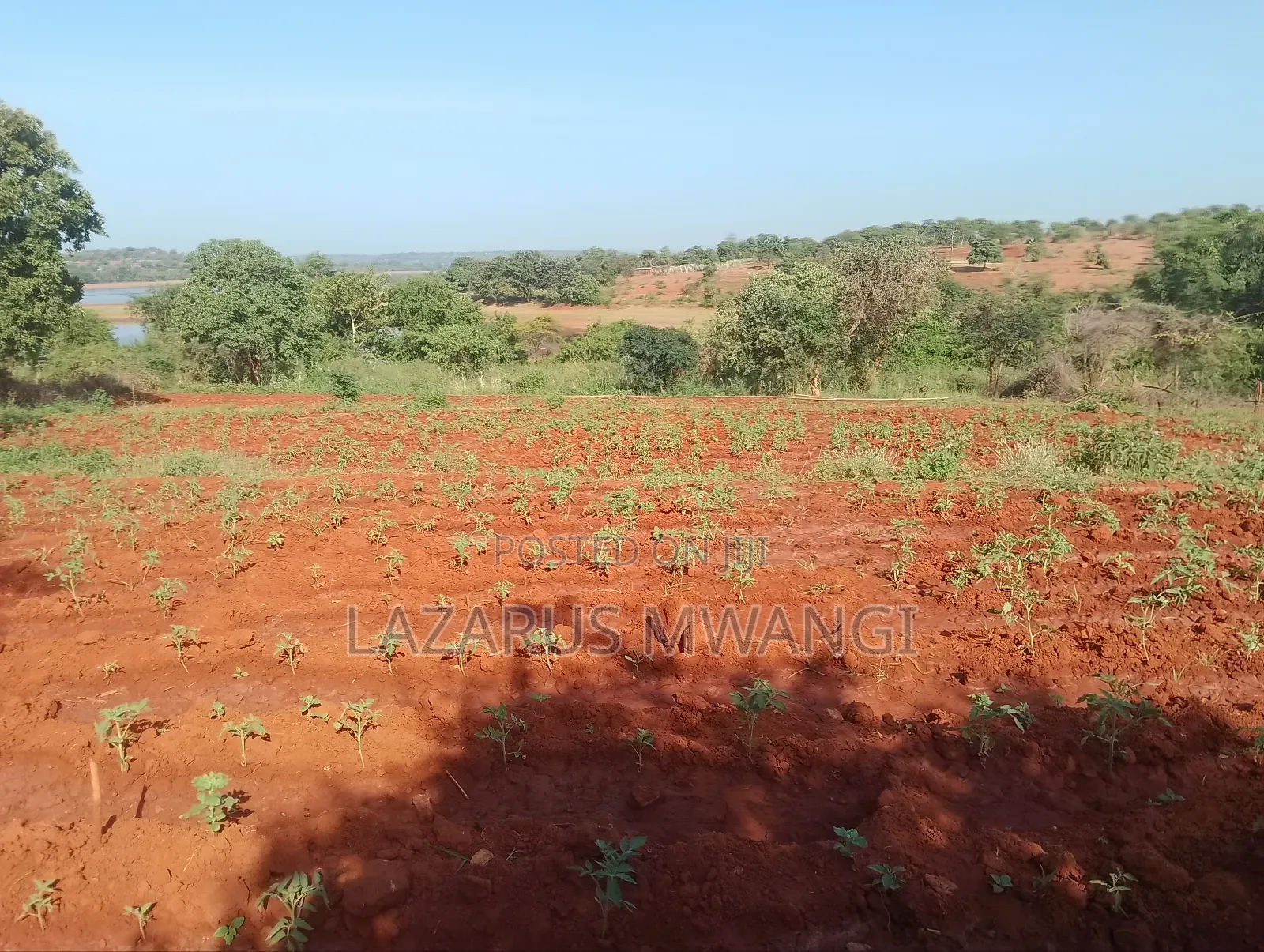 5 Acre-river Touching Land On Sale.