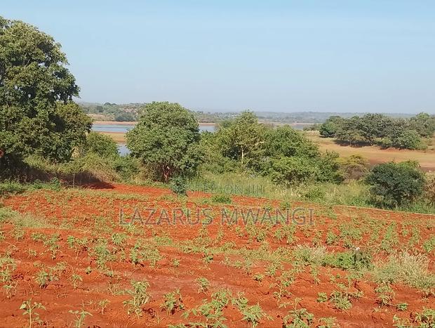 5 Acre-river Touching Land On Sale. - thumbnail 8