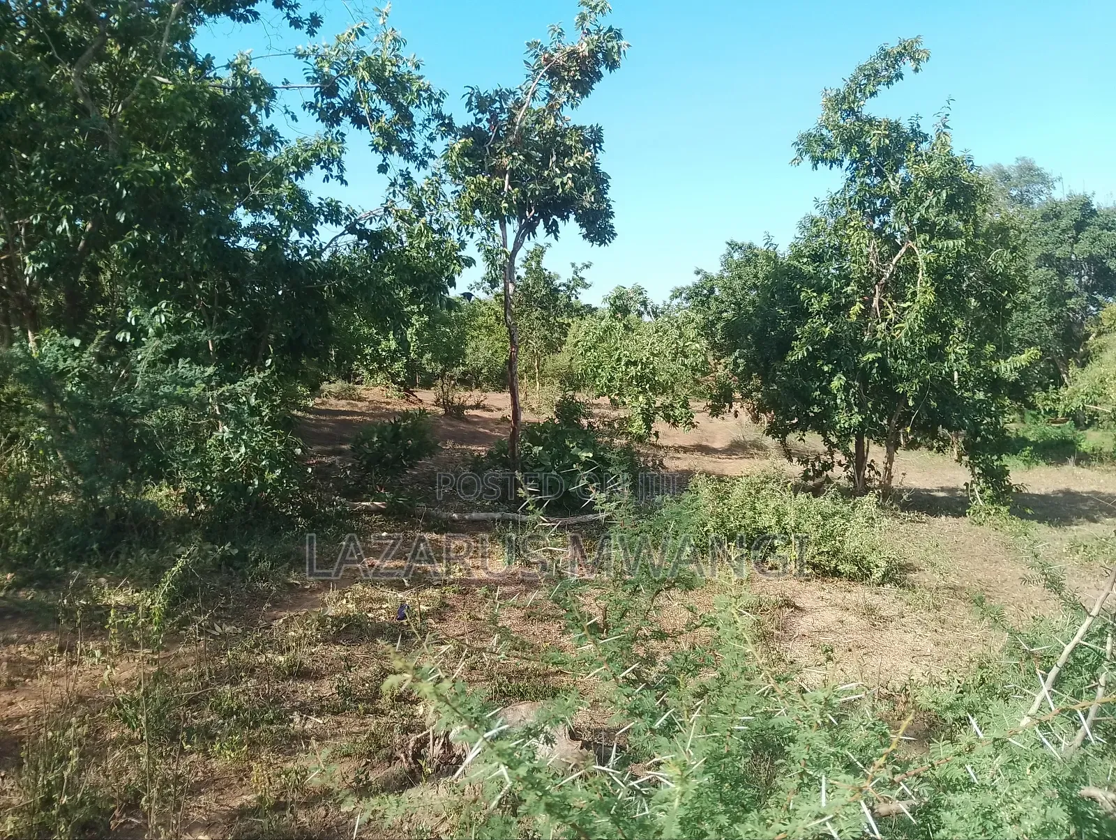 5 Acre-river Touching Land On Sale.