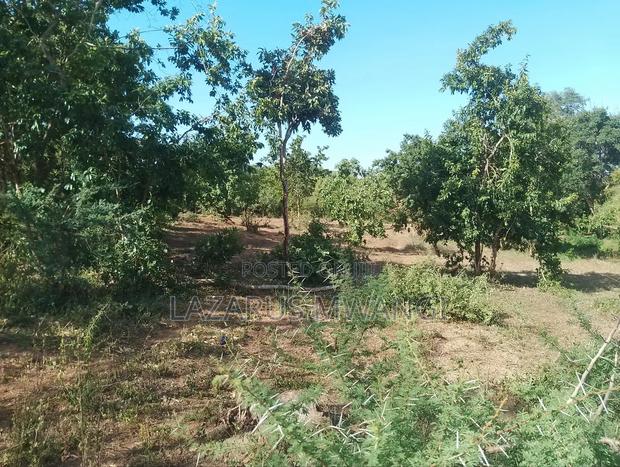 5 Acre-river Touching Land On Sale. - thumbnail 13