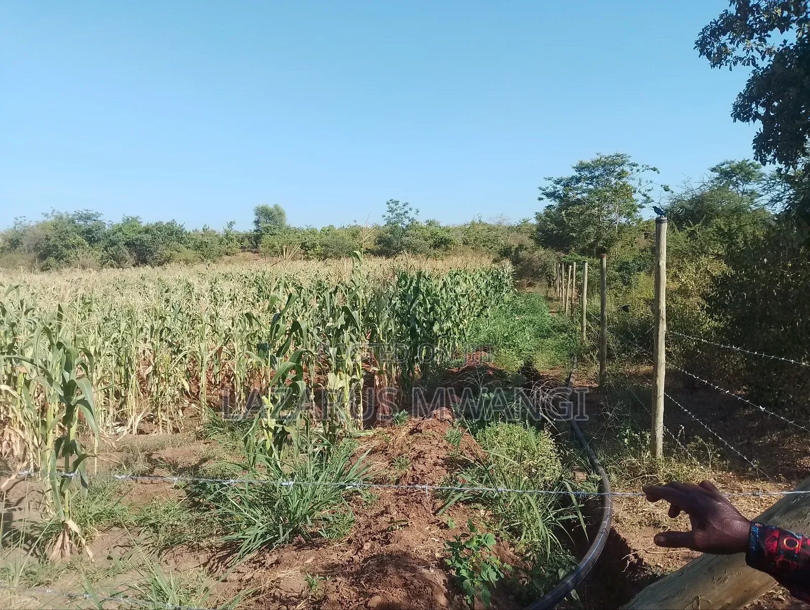 5 Acre-river Touching Land On Sale.