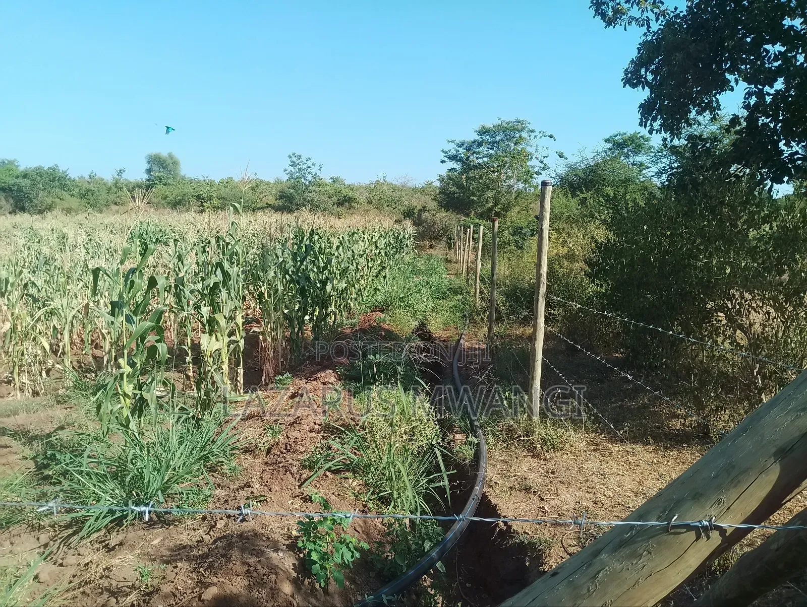 5 Acre-river Touching Land On Sale.