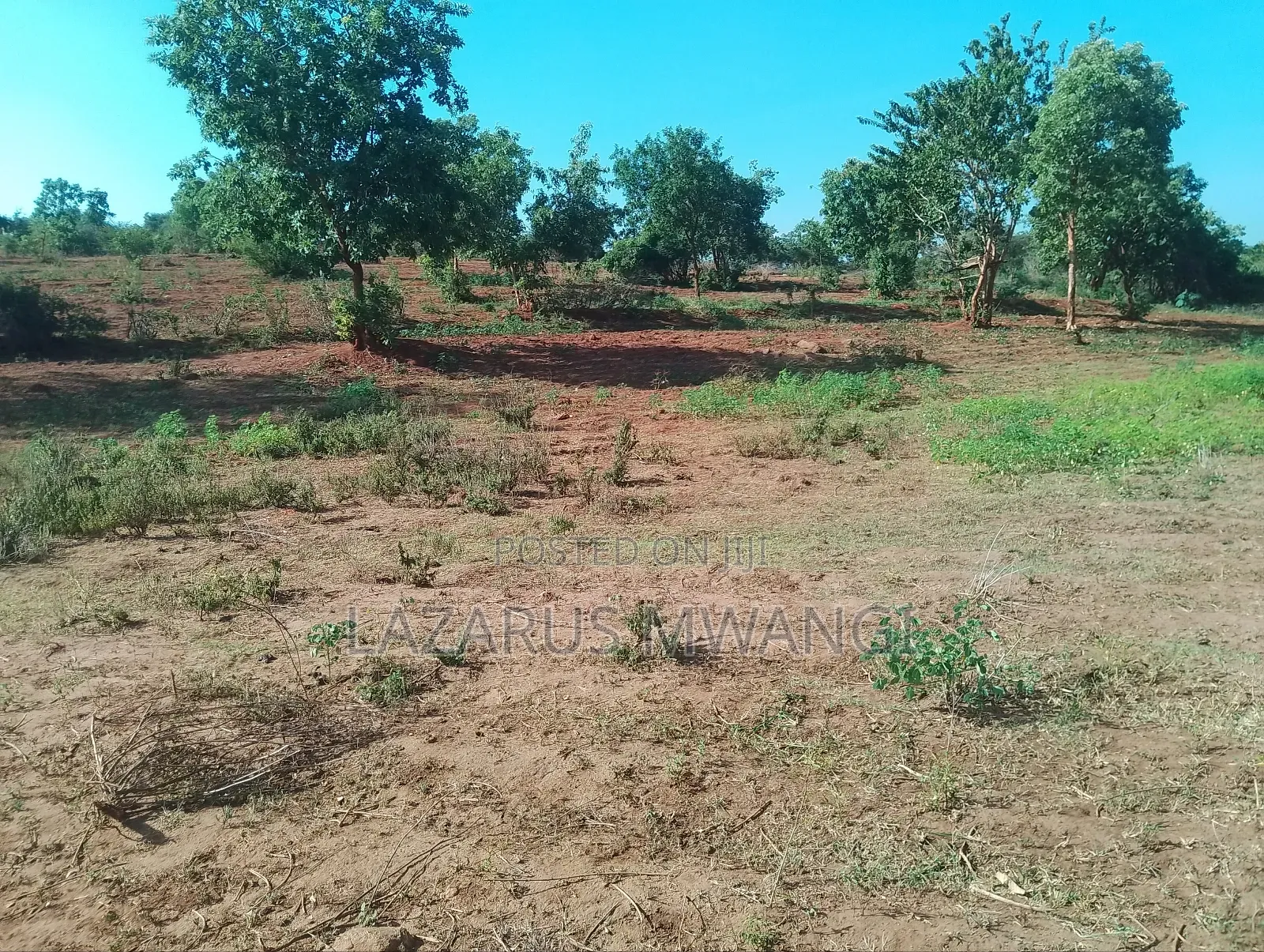 5 Acre-river Touching Land On Sale.