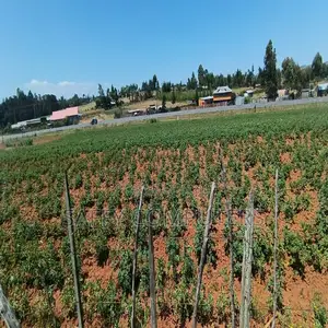 Plot for Sale Located at Mau Summit Along Nakuru -Eldoret Highway