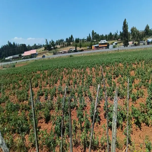 Plot for Sale Located at Mau Summit Along Nakuru -Eldoret Highway