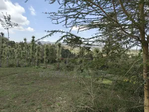 Residential Eighth Acre Plot for Sale in Ngong, Ol Keri. Nice Views