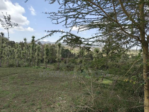 Residential Eighth Acre Plot for Sale in Ngong, Ol Keri. Nice Views - thumbnail 3