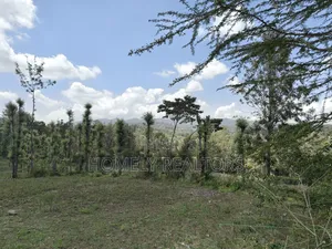 Residential Eighth Acre Plot for Sale in Ngong, Ol Keri. Nice Views