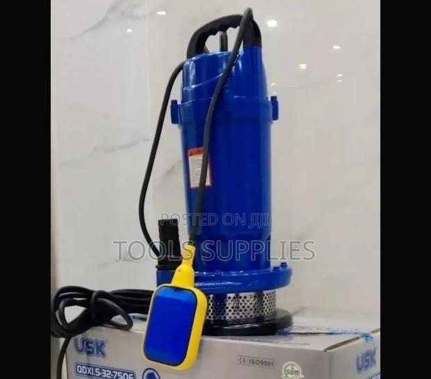 1.0hp Usk Submersible Pump With Float Switch - main view