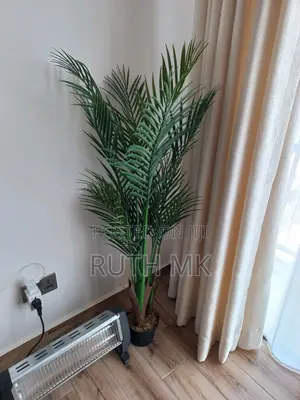 Large Aesthetic Decorative Floor Plant