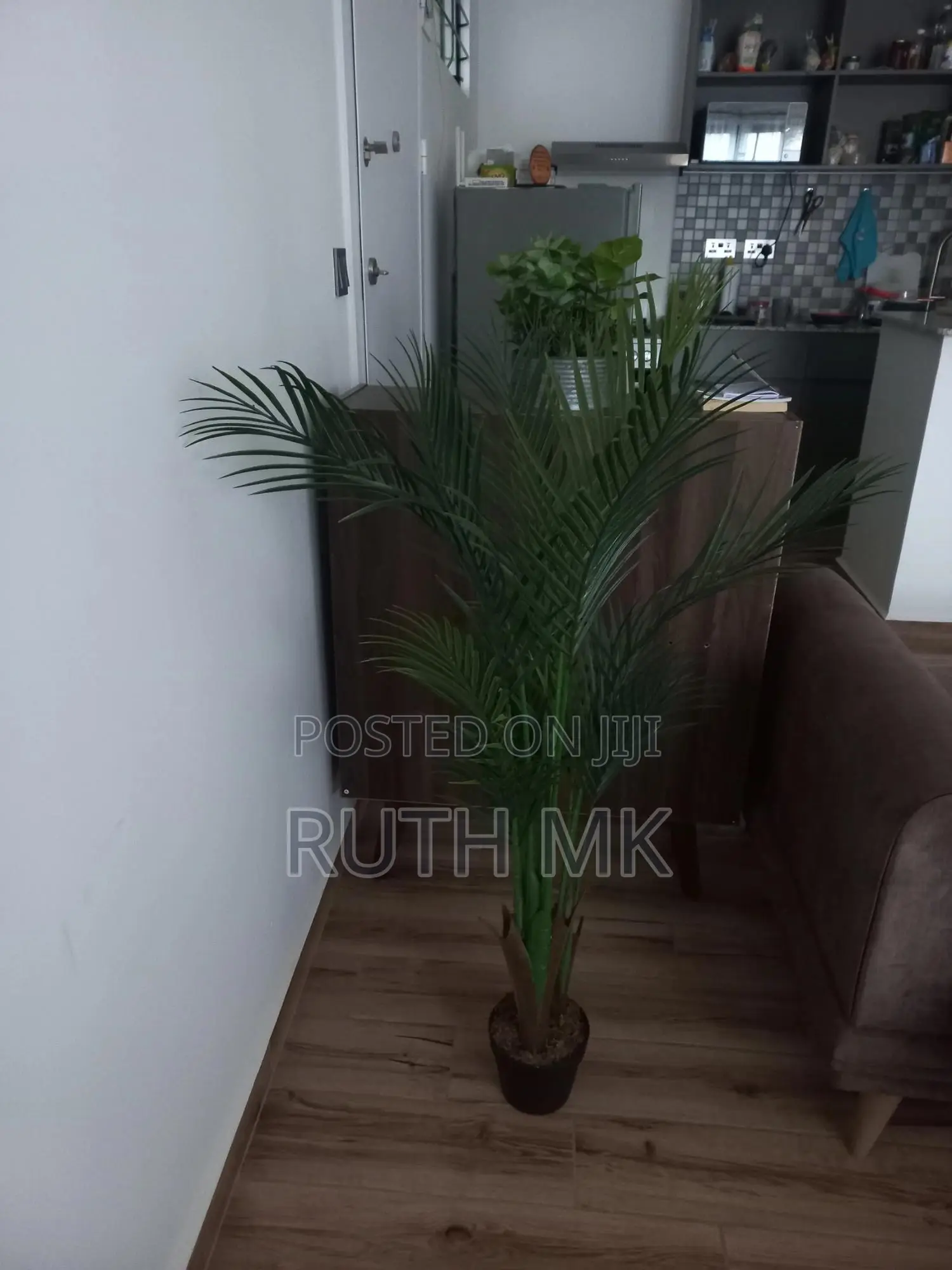 Large Aesthetic Decorative Floor Plant