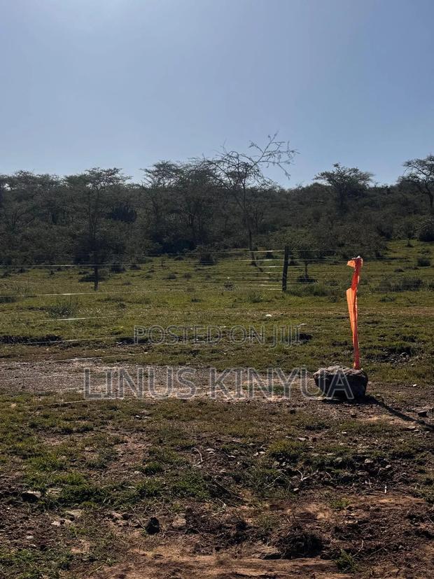 Quarry Land - thumbnail 3