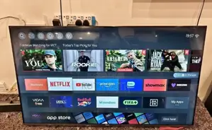 Vision 65 Inch 4 K Television v-Series