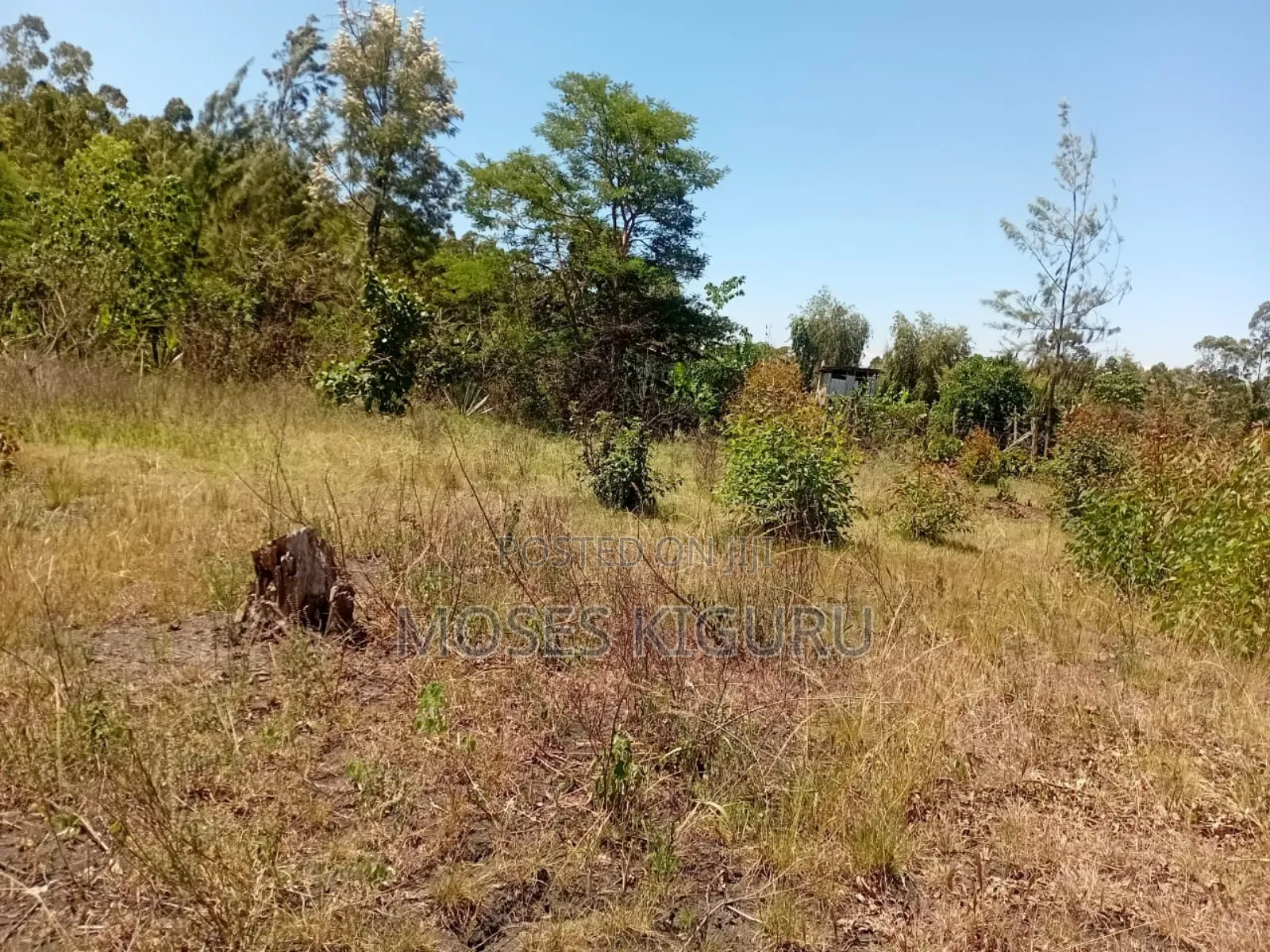 Makuyu 50x100 Plos for Sale.