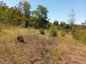 Makuyu 50x100 Plos for Sale.