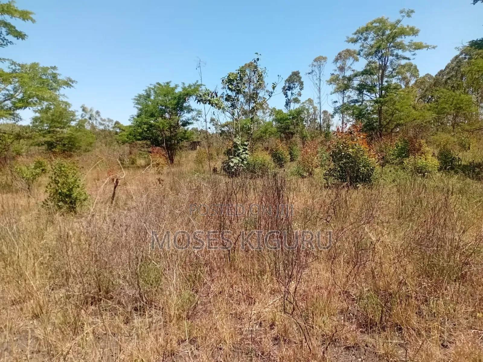 Makuyu 50x100 Plos for Sale.