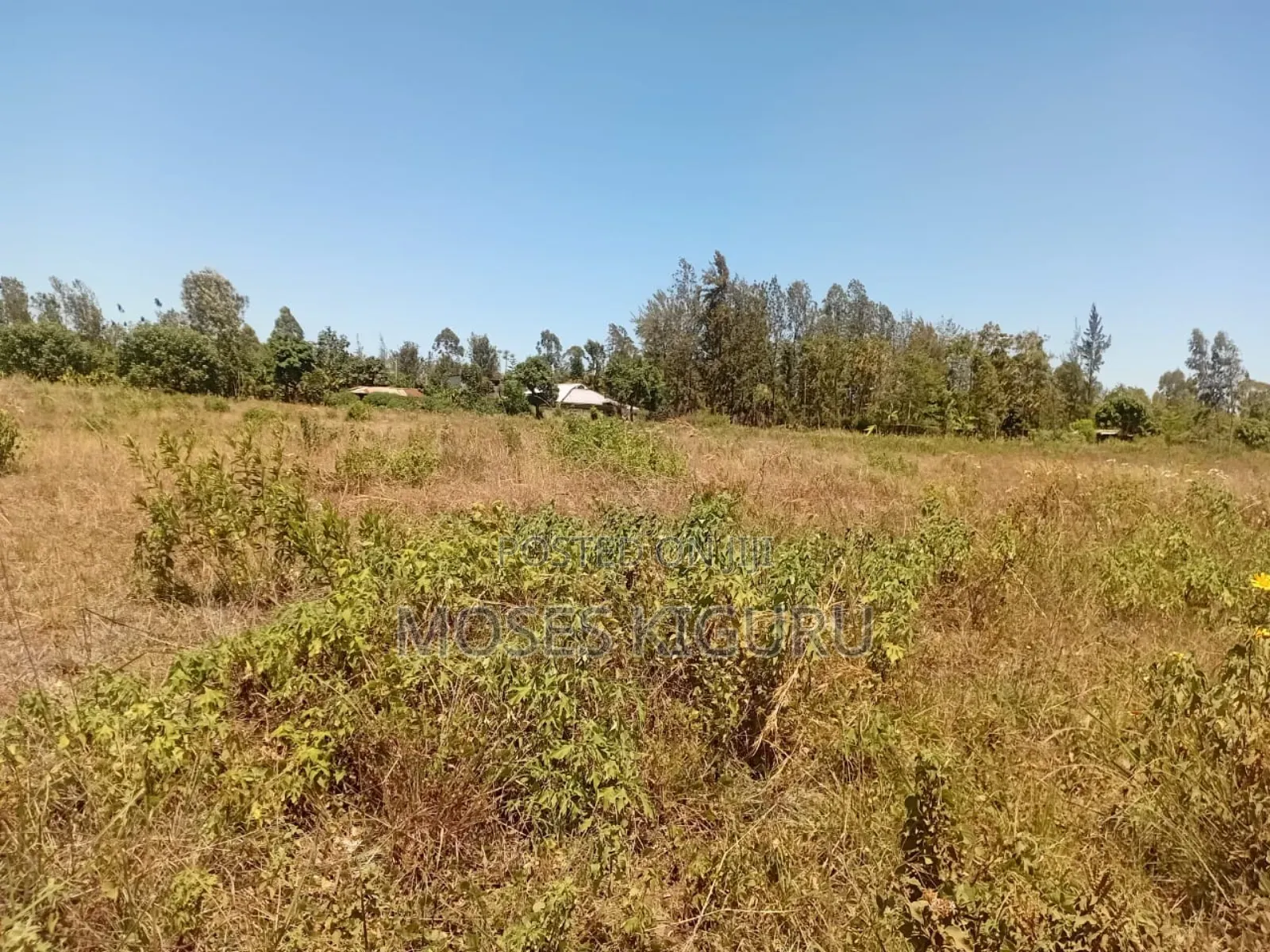 Makuyu 50x100 Plos for Sale.