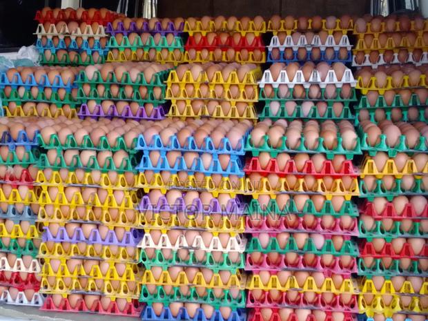 Layers Eggs for Sale - thumbnail 2