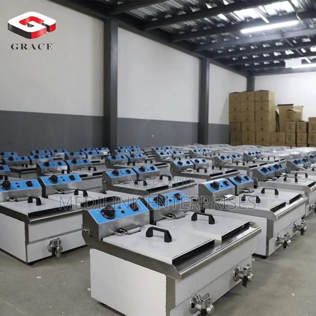 Imported Commercial Electric Fryers 20litres Double