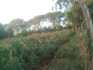 2 Acres Near River Tana at Nthingini Area With Title