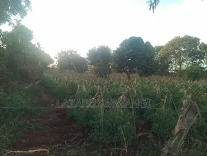 2 Acres Near River Tana at Nthingini Area With Title