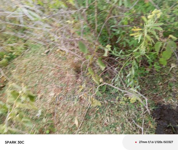 Nanyuki 5 Acres Land - thumbnail 4