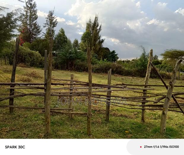 Nanyuki 5 Acres Land - thumbnail 11