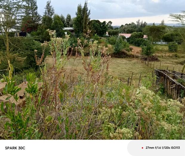 Nanyuki 5 Acres Land - thumbnail 18
