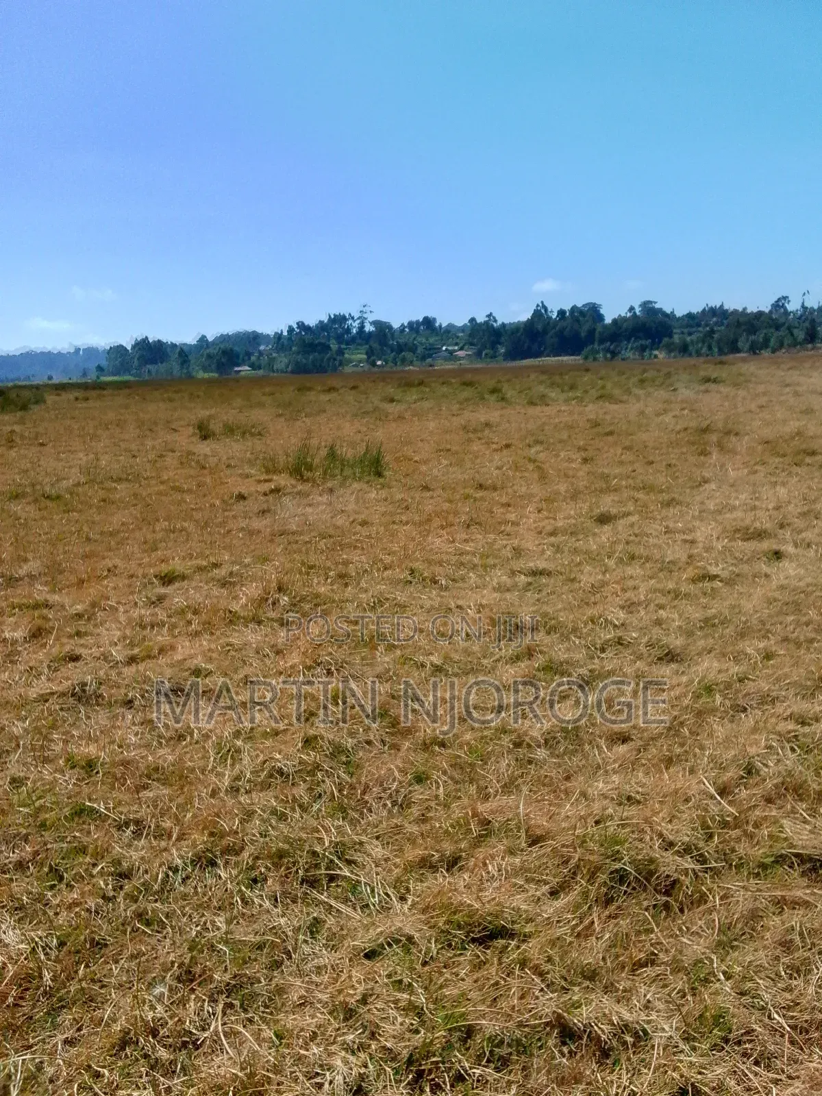 5 Acres Rwamburi,