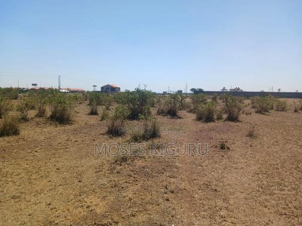 Jujafarm Road 1 Acre Touching Tarmac. - thumbnail 6
