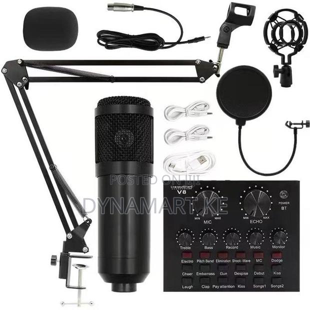 Bm800 Condenser Microphone + V8 Sound Card Audio Effects + Stand