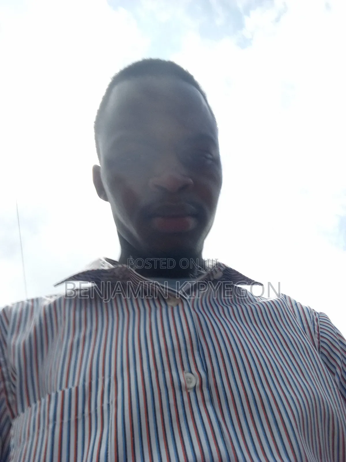 Application for a Sales Job