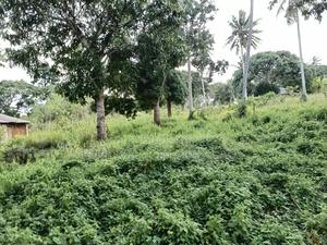 Dongo Kundu Bypass 30 Acres for Sale