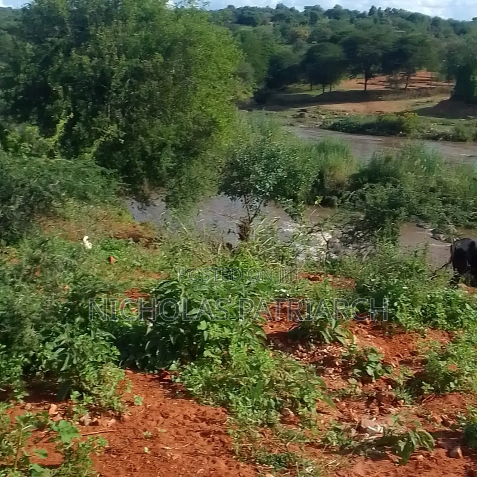 5 Acres Matuu-Ekalakala Touching River Thika Selling at Per Acre