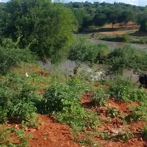5 Acres Matuu-Ekalakala Touching River Thika Selling at Per Acre