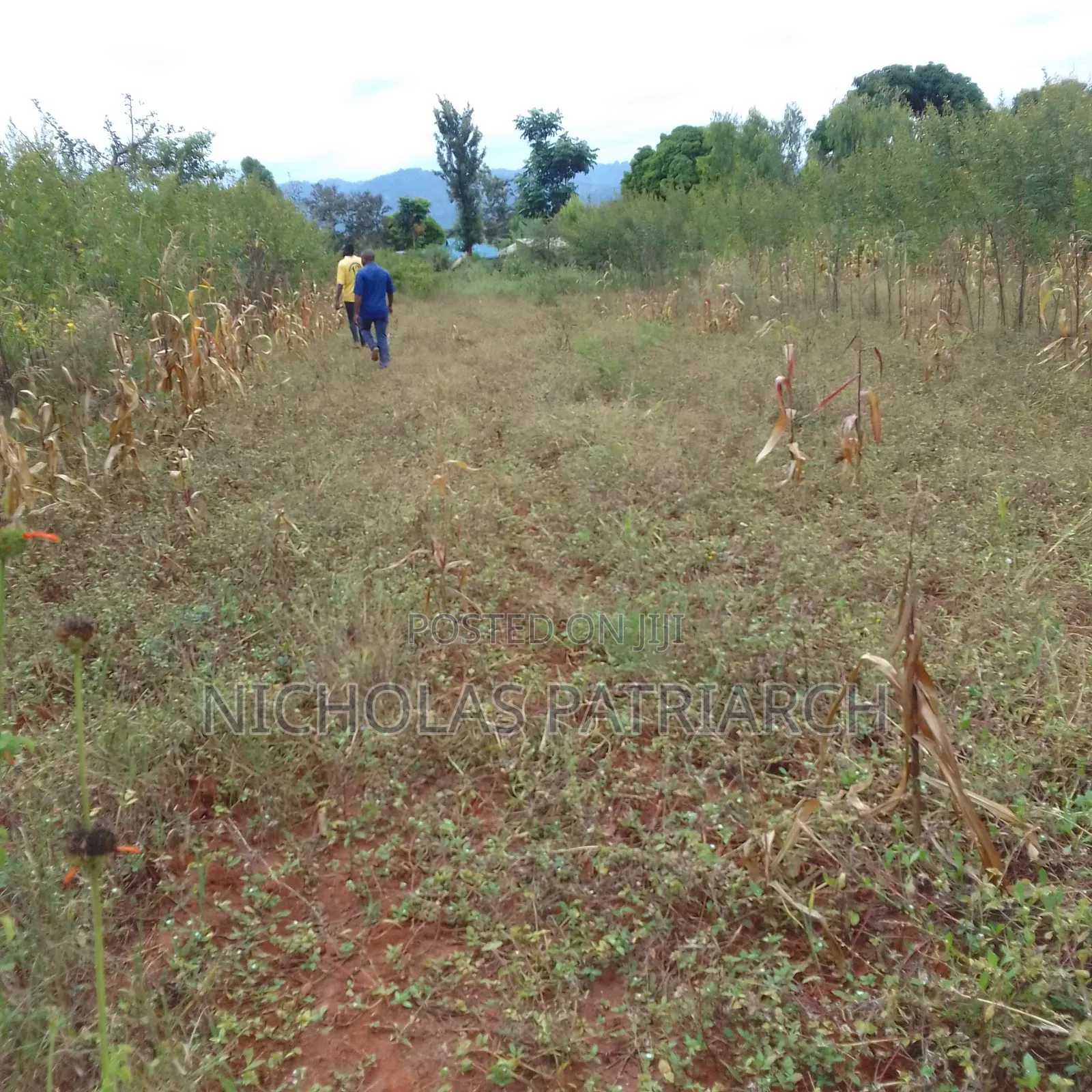 5 Acres Matuu-Ekalakala Touching River Thika Selling at Per Acre