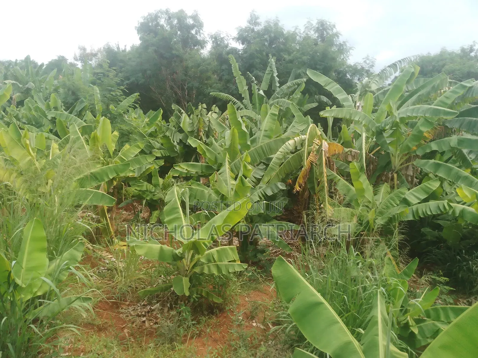 20 Acres Wamunyu Machakos - Touching River Athi Selling at 1m.Per Acre